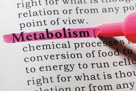 fitness-metablism
