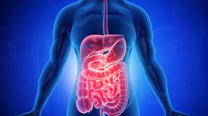 worst foods for gut health