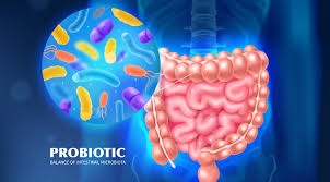 Top 10 Foods for a Healthy Gut, Including Probiotics